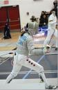 View The Fencing Album